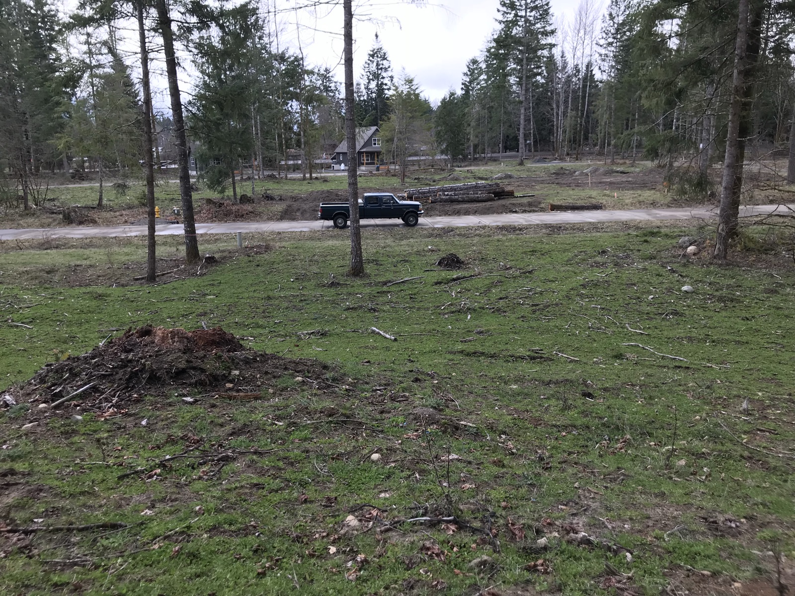 140 Bugle Lane — the parcel cleared back to the road, brush and downed timber removed